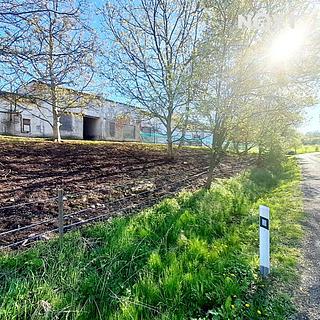 Prodej ostatních pozemků 1466 m&sup2; Žim