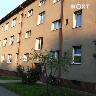 Pronájem bytu 3+kk 83 m² Pardubice, Jiránkova