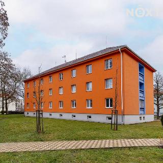 Pronájem bytu 1+1 40 m² Pardubice, Lexova