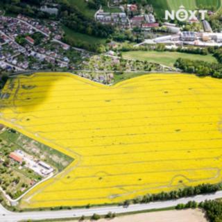 Prodej zahrady 3789 m² Nová Včelnice