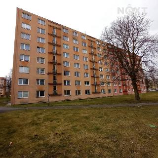 Prodej bytu 3+1 62 m² Cheb, Palackého