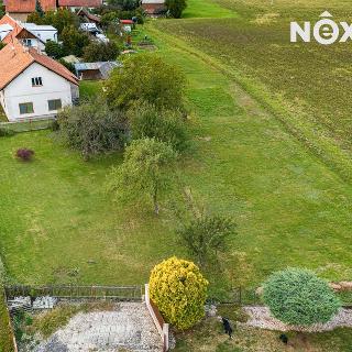 Prodej stavební parcely 1000 m² Ostřetín