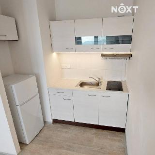 Pronájem bytu 1+kk a garsoniéry 33 m² Moravský Beroun, gen. Svobody