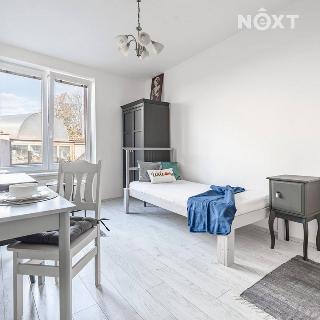 Pronájem bytu 1+kk a garsoniéry 23 m² Brno, Pražská