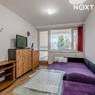 Prodej ostatního 19 m² Všemina