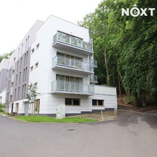 Pronájem bytu 3+kk 99 m² Karlovy Vary, Šumavská