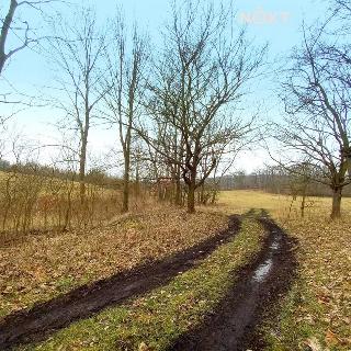 Prodej stavební parcely 205 693 m² Jílové, Javorská