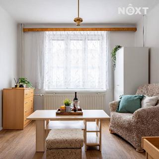 Pronájem bytu 2+1 45 m² Brno, Stránského