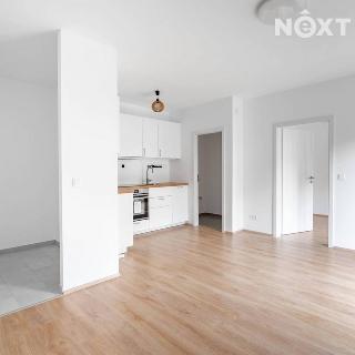 Pronájem bytu 2+kk 40 m² Slaný, Prokopa Holého