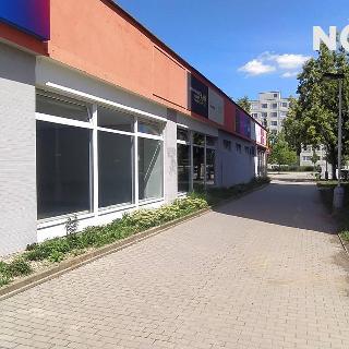 Pronájem obchodu 110 m² Praha, Prusíkova