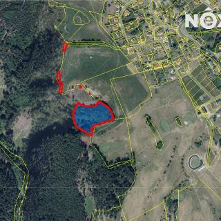 Prodej lesa 8 922 m² Kolová, 