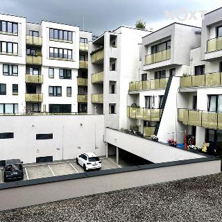 Pronájem bytu 2+kk 58 m² České Budějovice, Sukova