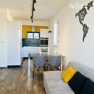 Pronájem bytu 2+kk 51 m² Plzeň, Plovární