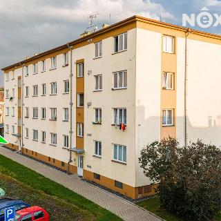 Prodej bytu 3+1 64 m² Skuteč, Československé armády