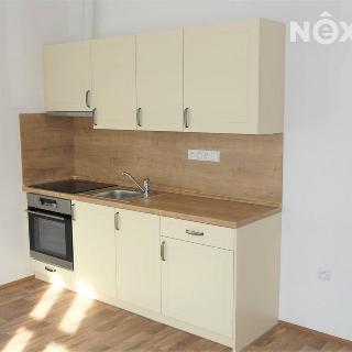 Pronájem bytu 1+kk a garsoniéry 24 m² Tábor, Budějovická