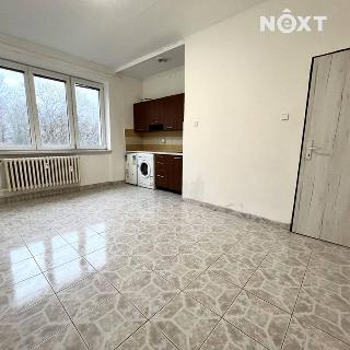 Pronájem bytu 1+kk a garsoniéry 22 m² Karviná, U Lesa