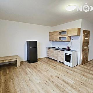 Pronájem bytu 1+kk, garsoniery 40 m&sup2; Hřebeč