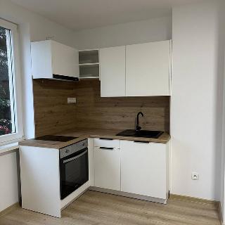 Pronájem bytu 1+kk a garsoniéry 25 m² Ostrava, Bajkalská