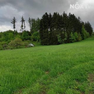 Prodej louky 4273 m² Česká Třebová