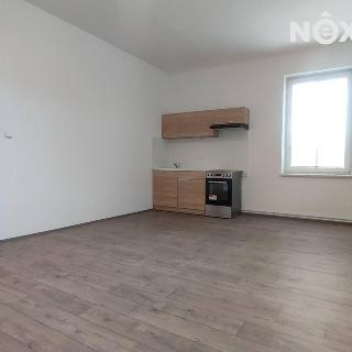 Pronájem bytu 1+kk a garsoniéry 24 m² Mladé Buky, 