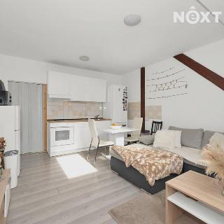 Prodej bytu 1+kk a garsoniéry 32 m² Brno, Soudní