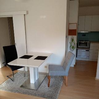 Pronájem bytu 1+kk a garsoniéry 33 m² Praha, Hábova