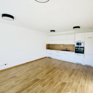 Pronájem bytu 2+kk 54 m² České Budějovice, J. Dietricha