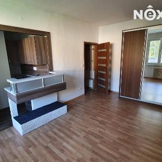 Pronájem bytu 1+kk a garsoniéry 26 m² Ostrava, Sokolovská