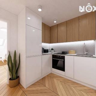 Prodej bytu 2+1 46 m² Brno, Netušilova