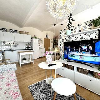 Prodej bytu 1+kk, garsoniery 51 m² Sobětuchy