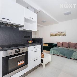 Prodej bytu 2+kk 73 m² Brno, Slovinská