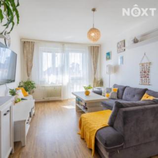 Prodej bytu 3+1 83 m² České Budějovice 5, Fr. Škroupa