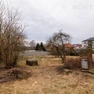 Prodej stavební parcely 750 m² Planá, 