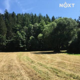 Prodej louky 6 060 m² Družec
