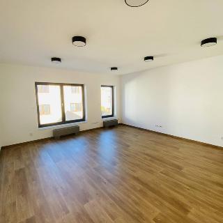 Pronájem bytu 1+kk a garsoniéry 35 m² České Budějovice, J. Dietricha