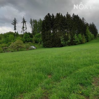 Prodej louky 4 273 m² Česká Třebová, 