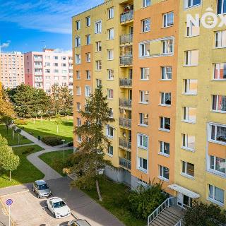 Prodej bytu 3+1 85 m² Pardubice, Luďka Matury