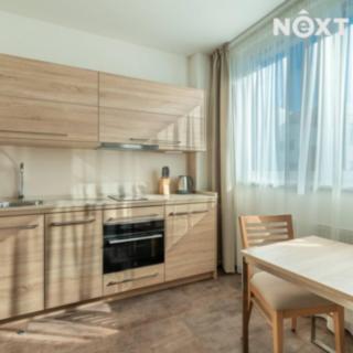 Pronájem bytu 1+kk a garsoniéry 30 m² Praha Hlubočepy, Geologická