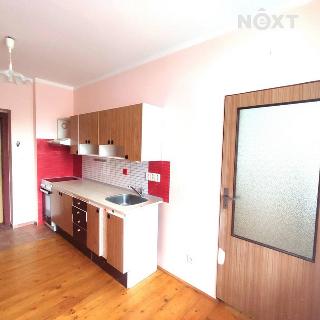 Pronájem bytu 1+1 30 m² Trutnov, Májová