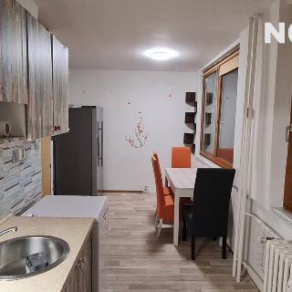 Pronájem bytu 3+1 77 m² Praha, Děčínská