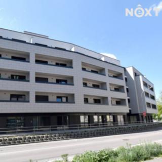 Pronájem bytu 1+kk a garsoniéry 18 m² Břeclav, Břetislavova