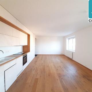 Pronájem bytu 2+kk 51 m² Litomyšl, Zelená alej