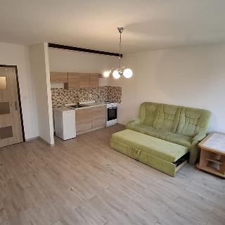 Pronájem bytu 1+kk a garsoniéry 32 m² Ústí nad Labem, Dukelských hrdinů