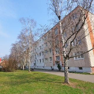 Prodej bytu 2+1 52 m² Litoměřice, Mrázova