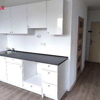 Pronájem bytu 1+1 34 m² Ústí nad Labem, SNP