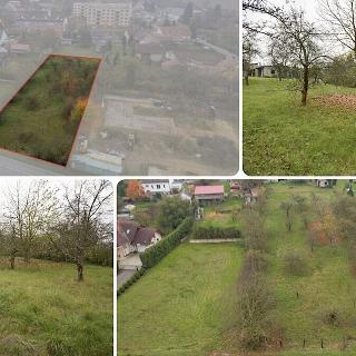 Prodej stavební parcely 2039 m² Hoštka