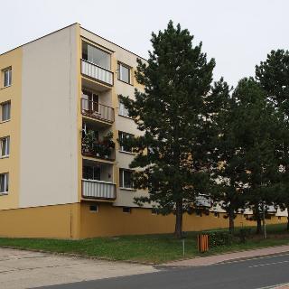 Pronájem bytu 3+1 65 m² Čížkovice, Jiráskova