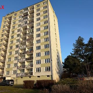 Pronájem bytu 1+1 41 m² Ústí nad Labem, Oblá