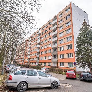 Prodej bytu 2+1 52 m² Ústí nad Labem, Svojsíkova