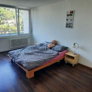 Prodej bytu 2+1 64 m² Postoloprty, Dvořákova